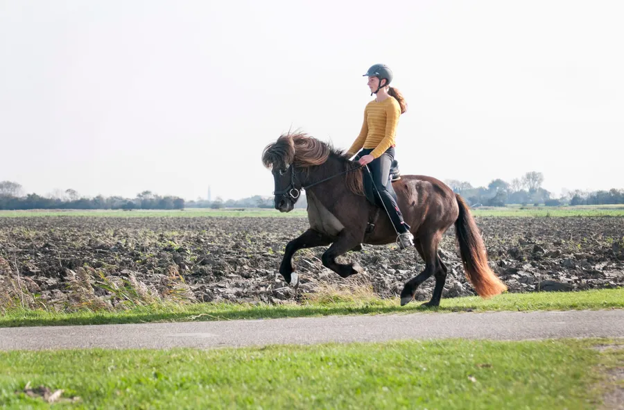 Galop
