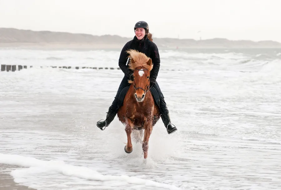 Omgeving Meliskerke