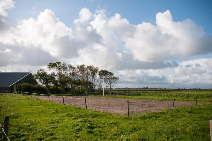 Rijbak en weiland