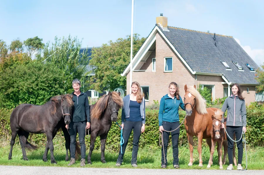 Team Sjáland